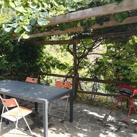Casa Michelle "Natura E Relax" Levanto Extérieur photo
